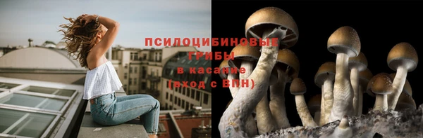 кристаллы Зеленодольск