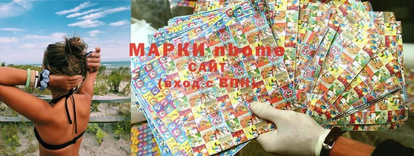 стафф Заводоуковск